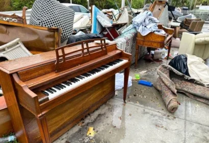 Musical Instrument Move musical instrument moving